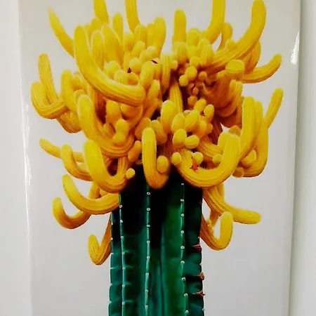 Lägenhet Lanzamore Cactus, Sea View, Lanzarote Güime